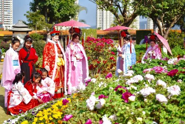 春节玩"年味",赏牡丹就来参加皇宫庙会!