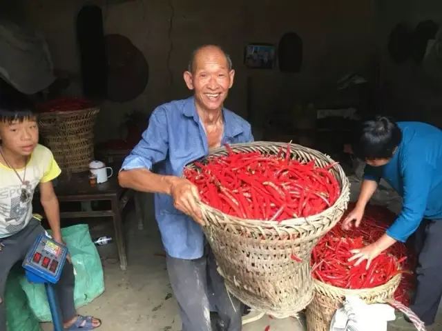 迎接今年春节,对于重庆市奉节县平安乡66岁的张应兴来说是件格外幸福