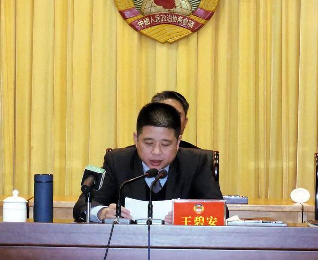 王碧安寄语全市政协委员为奋力开创南雄振兴崛起新局面作出新的更大