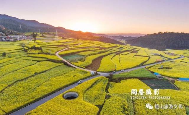 2月2日—2月20日 峨山县2019年油菜花暨开新街文化旅游节等你唻果咧!