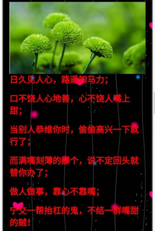 口不饶人心地善,心不饶人嘴上甜!