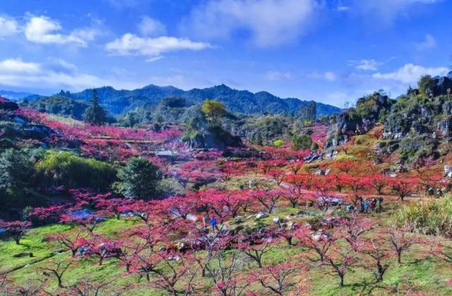 连平县登山户外运动协会邀请您参加:2019粤赣古驿道河源连平桃花节