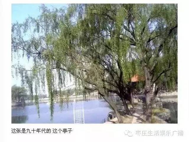 这两张是滕州原来的善园商场,也就是水上商场,当年多漂亮啊,冬天水