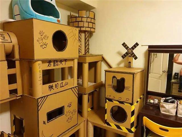 主人用纸箱造豪华猫城堡,完工后橘猫来视察,对新家表示满意!