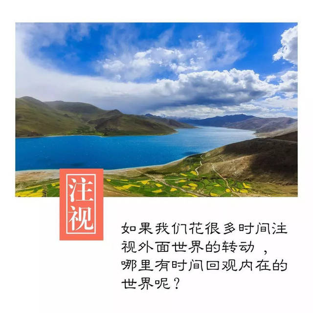 期货交易的快和准,来自专注和静定_手机搜狐网