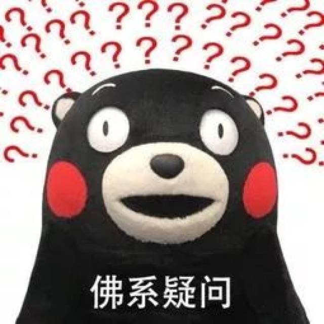 会展中心的花市要门票吗?免费,但是……