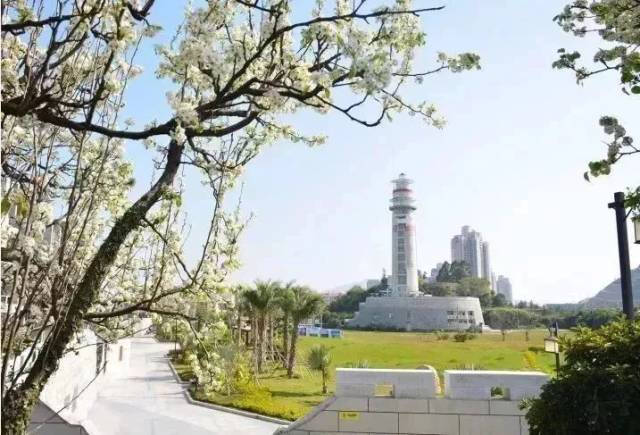 ���ݿ�����ʮ�����Ž�����