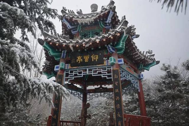 交通路线:滕州市区乘坐k208可直达龙山胜境风景区 自驾游路线:沿善国