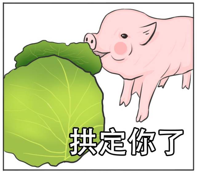 深圳的年轻人,怎么都变成猪了?