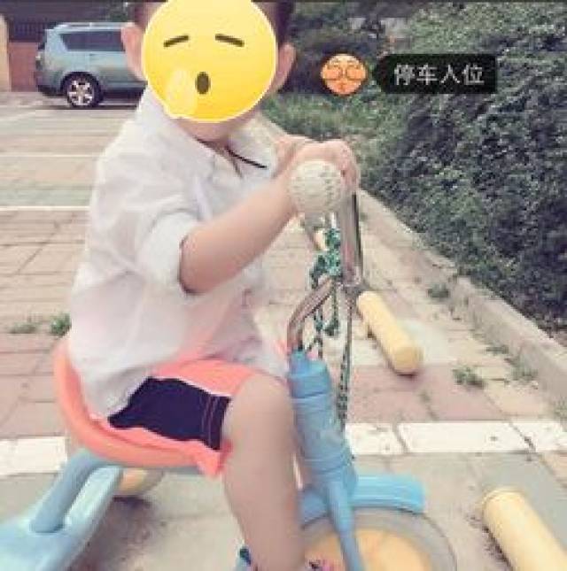 会展中心的花市要门票吗?免费,但是……