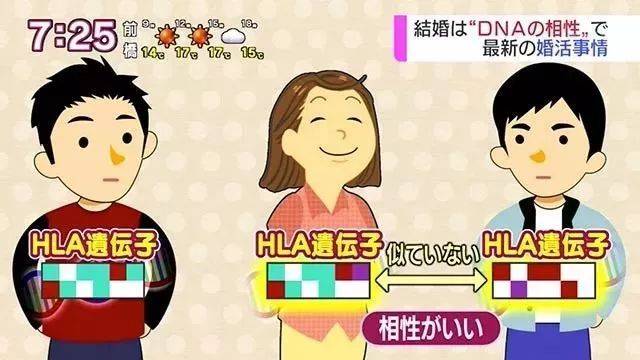 岛国男女竟然用dna相亲!单身限制了我的想象力