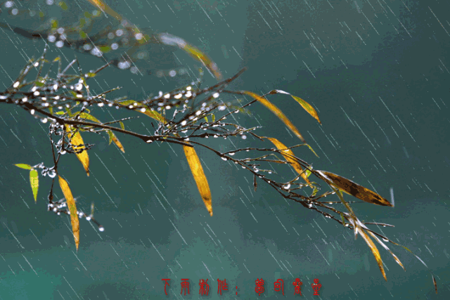 临窗, 望秋雨