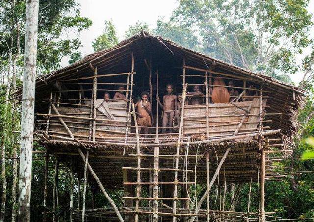 原创世界上仅存的食人族,房子建在高50米的大树上,居民用手语沟通!