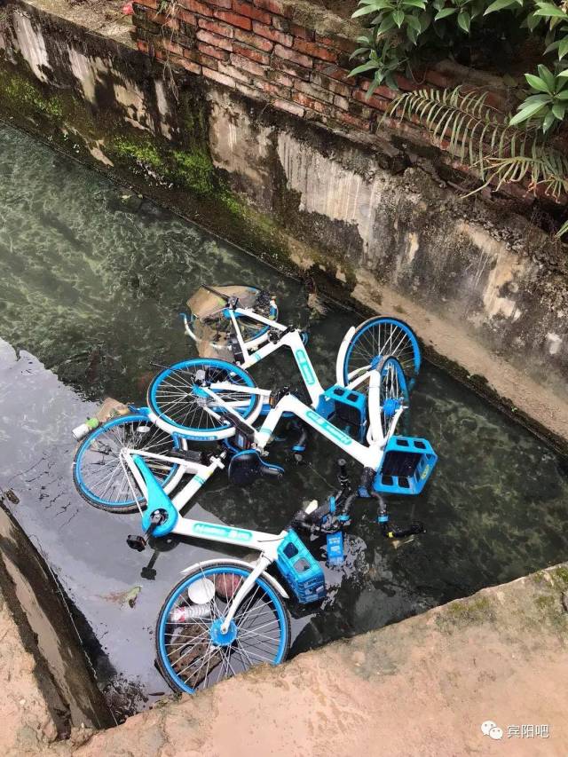 究竟是谁在恶意破坏宾阳街头的共享单车?这就是犯罪!