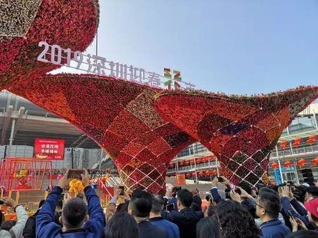 深圳迎春花市今天开市,可看可玩年味最是浓!