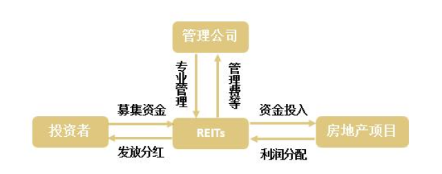 在所有情况下银行监管当局应具备了解银行和集团的整体结构以及与其他监管银行集团所属公司的监管当局进行协调的能力称为