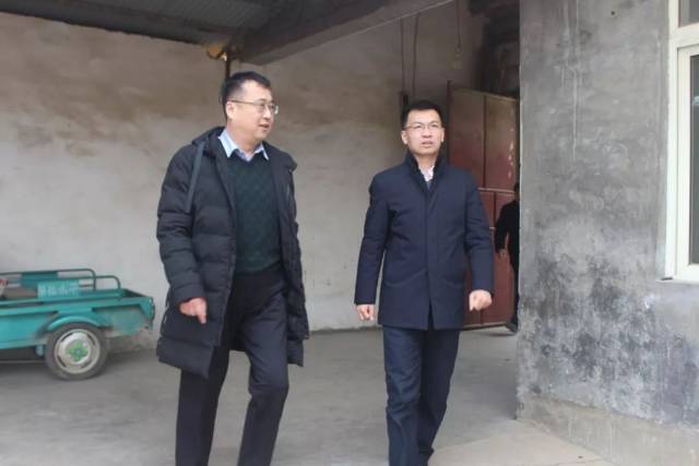 王磊到白桥镇调研指导工作