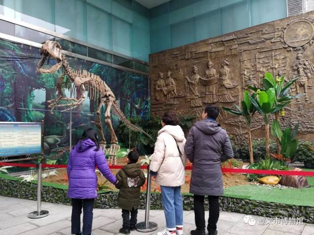 遵义市博物馆霸气恐龙展隆重开幕