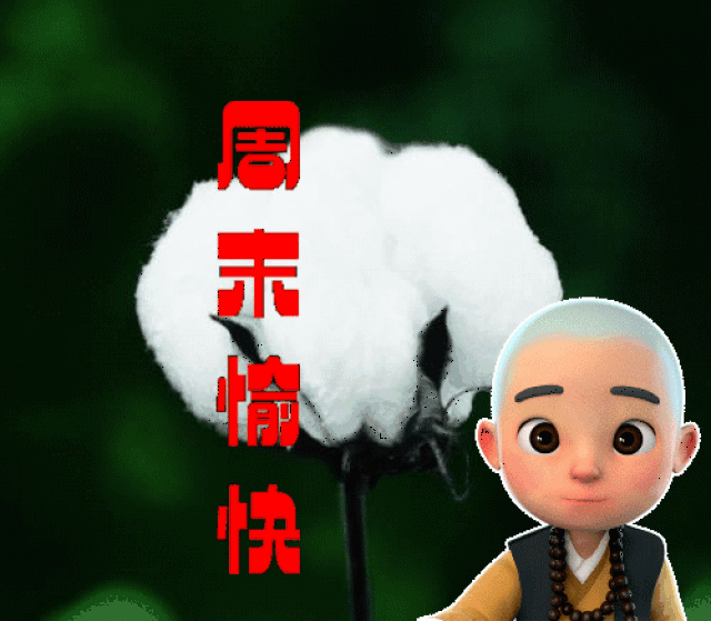 聊天不用打字的图片