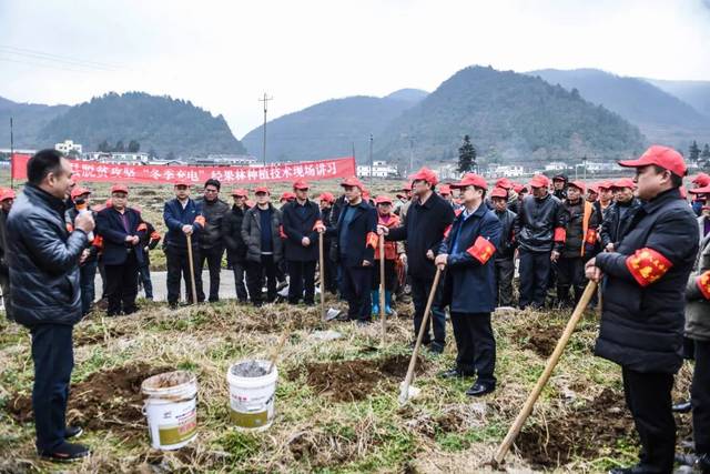 黔西县中坪镇吉丰村刺梨育苗基地.