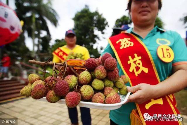 关于合江荔枝 你可能不知道还有这些故事