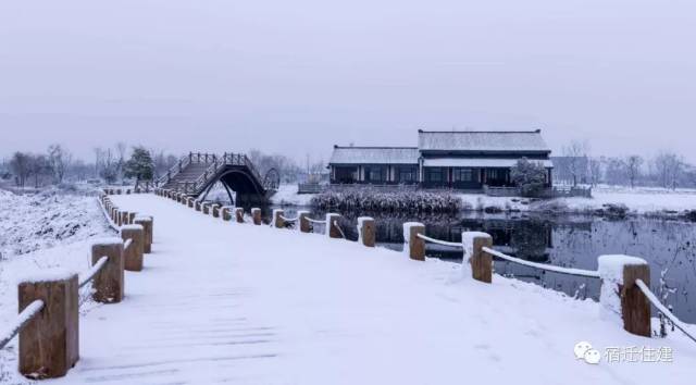 曹集乡双河村双河 小广场▲ 顺河街道林苗圃居林苗圃 梨园雪景