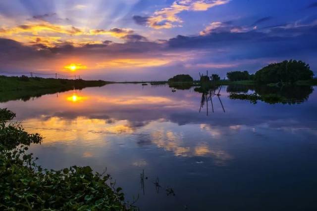潼湖湿地.