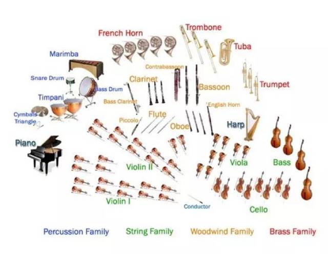 大家走近剧院听音乐会的时候会看到舞台上有很多不同的乐器,那么管弦