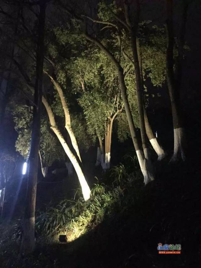 放假回乡逛公园:永安龟山公园的夜晚更美了!