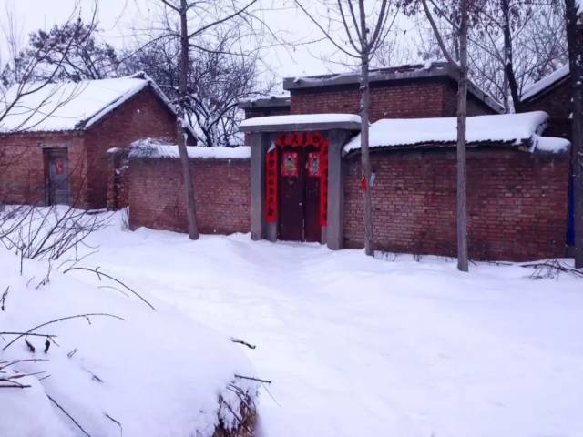 永城乡村雪景, 这雪厚得估计一脚下去淹没整个小脚丫.