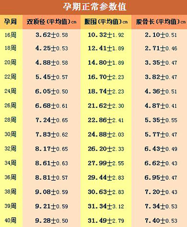 怀孕1-40周胎儿发育图!原来宝宝在肚子里是这样发育的