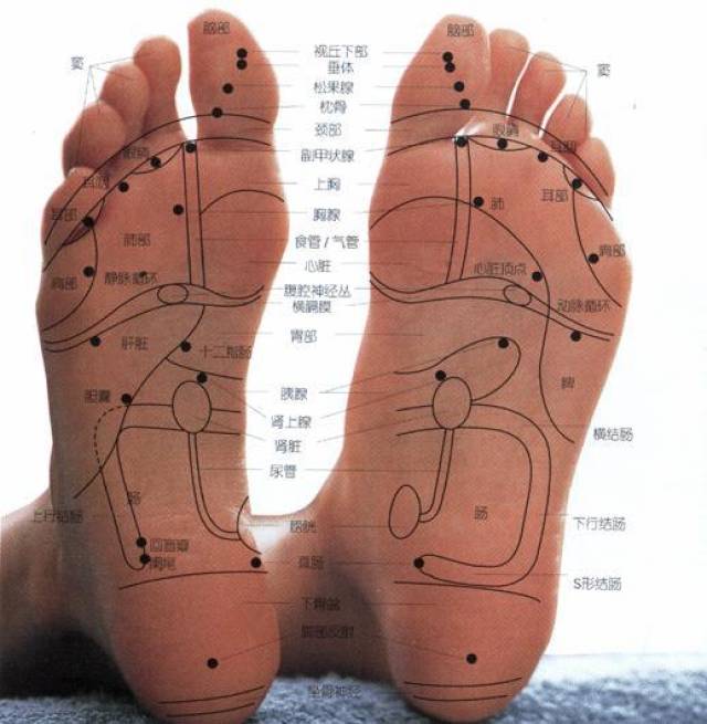 中医脚诊图谱:脚部有这6个特征,是健康的标志,快看你占了几个