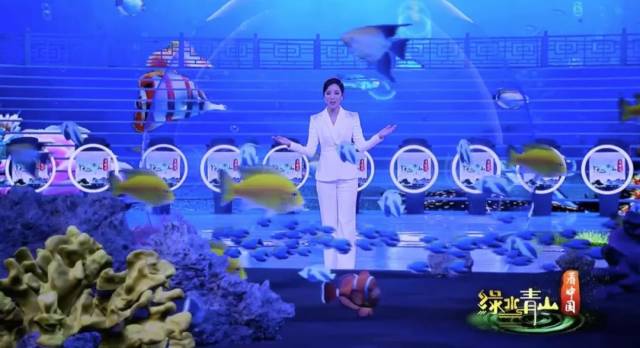 如何让绿色成为引人共鸣的色彩?央视《绿水青山看中国》播出广受