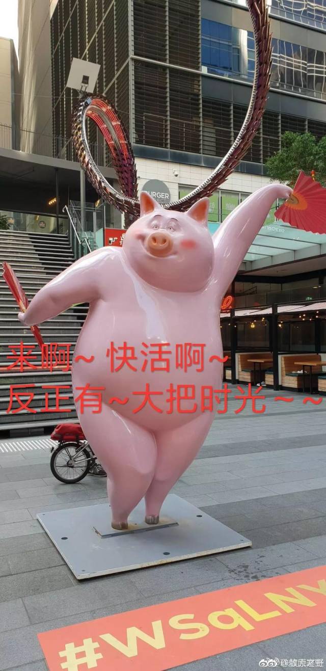 悉尼一广场摆出拿着中国传统扇子的卡通猪造型 网友:妩媚