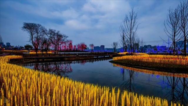 【注意】南充上中坝湿地公园开园,须从高坪端浮桥上岛,三桥匝道禁止