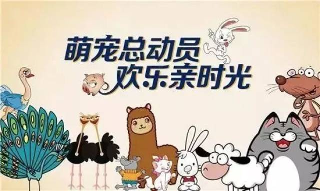 重磅消息!重磅消息!惠安首届萌宠总动员即将开始啦!