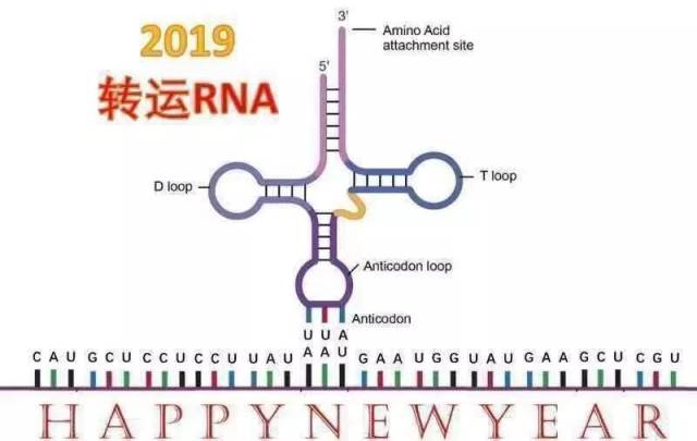 新年到来之际,转运rna给你带来一整年的好运和祝福