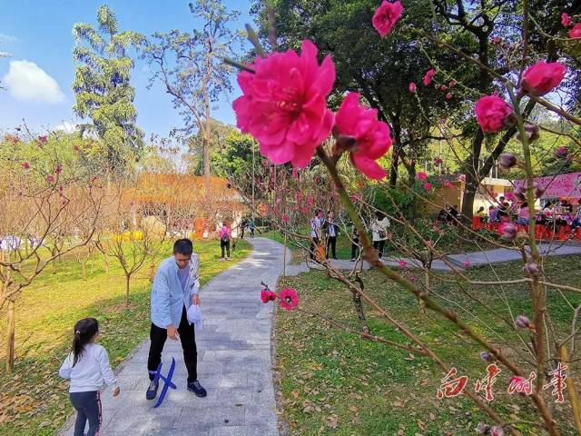 桃花涧靠近白云山西门,可在西门乘坐电瓶车直达景点门口 石马桃花公园