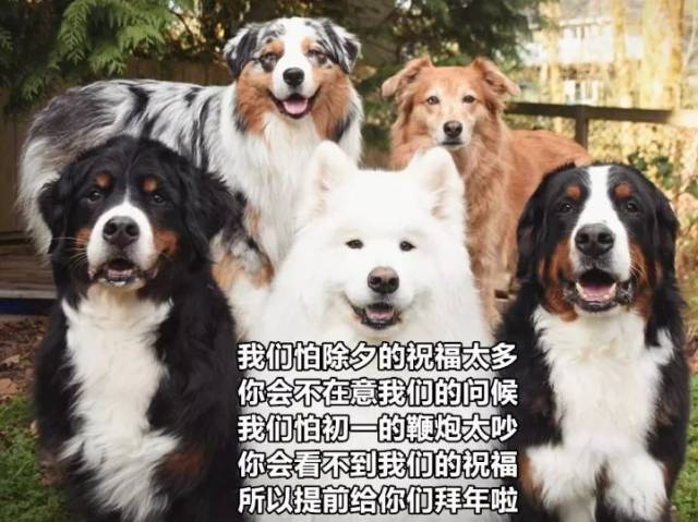 面对爱叨叨的亲戚,怎么能少得了 怼亲戚表情包呢?