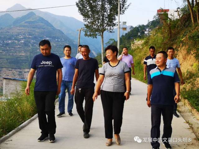 【白马情中国梦】文县口头坝乡2018年重点工作回顾之二:基层党建篇