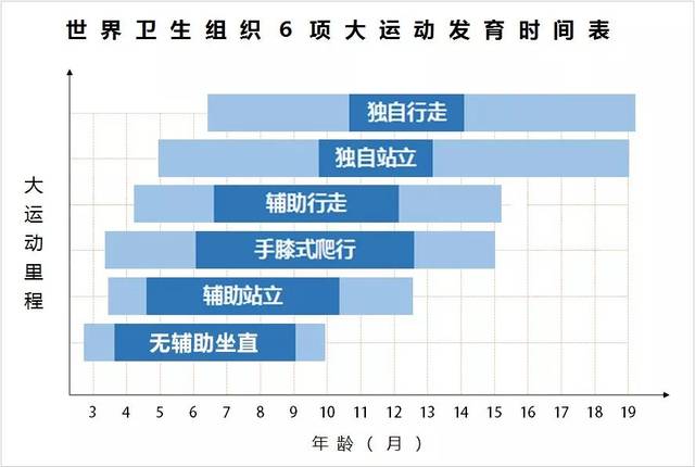 世界卫生组织就公布了这样一份儿童运动成长发育的时间表.