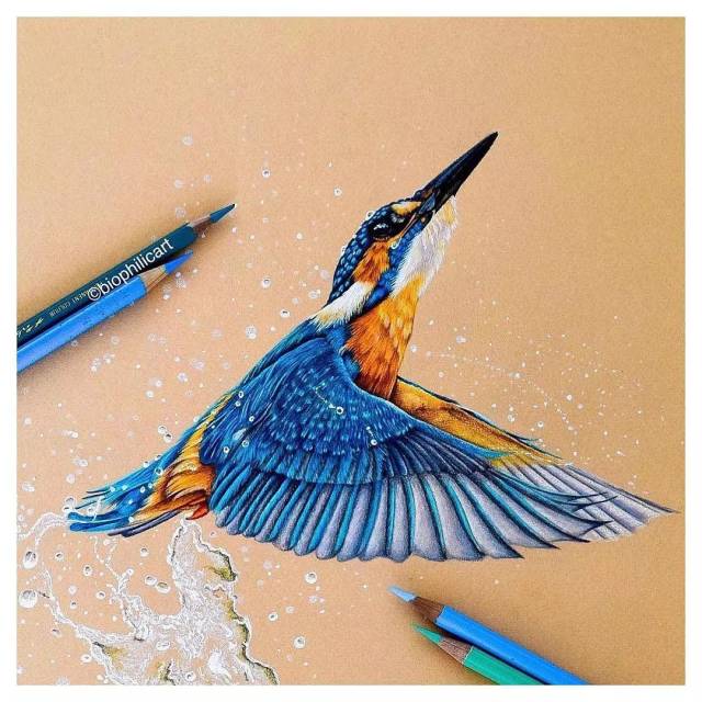 画彩铅几年了都不懂一些上色技巧,这一篇就解决了,太强大了!