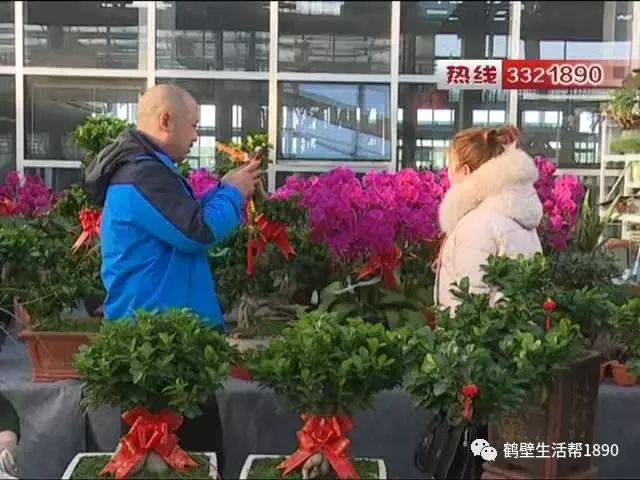 随着春节花卉市场热闹起来,各个花店也都忙碌起来,营业额增长了很多.