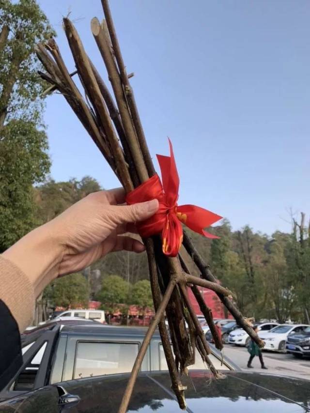 大年初一,怀化市民登高抱财归.