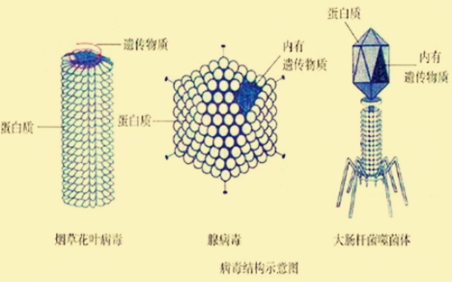 从相声奇才到阶下囚当红时抛下冯巩移居海外后刘伟怎样了