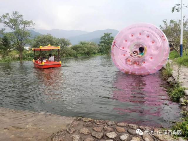 此时石溪百鸟园梅花盛开,你来么!