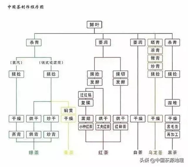 中国茶叶的分类和基础知识(详细)