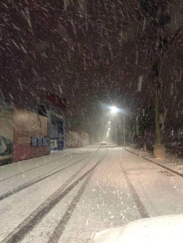 下雪了,大兴最美的雪景都在这里!