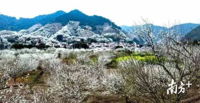 地址:翁源县东郊北部东华山风景区内 自驾:韶关旅游微信页面发送