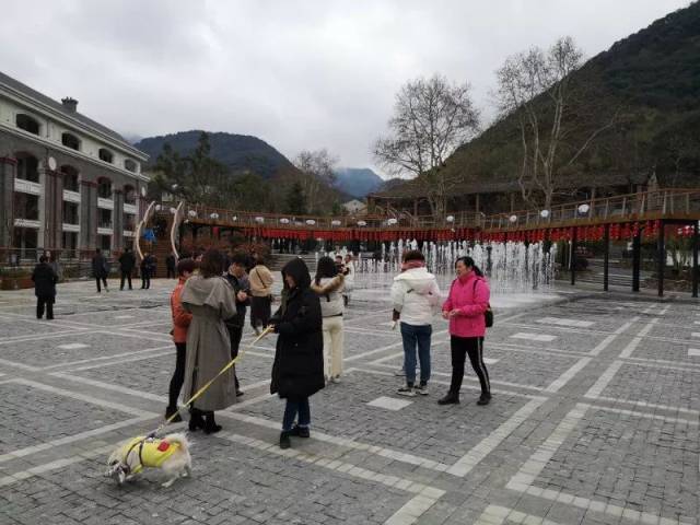 单日游客量突破1万人次!莫干山旅游集散中心首迎春节